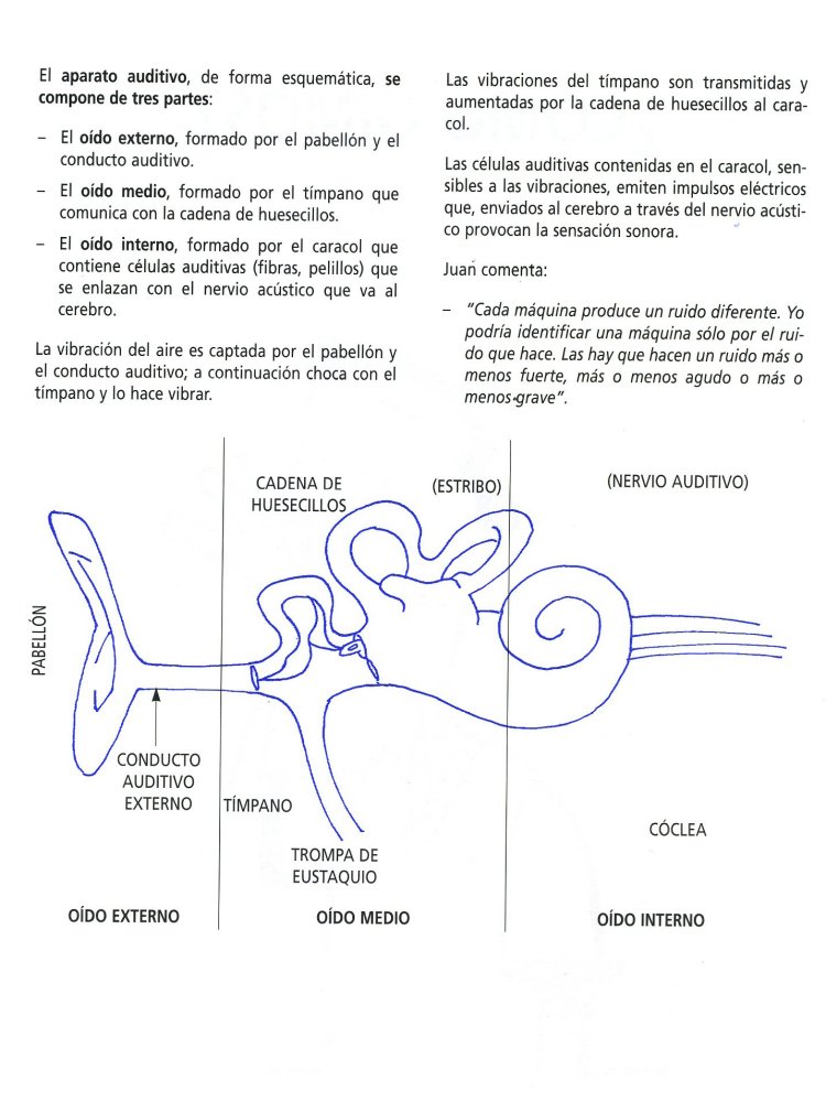 F13 INSHT001_Page_07